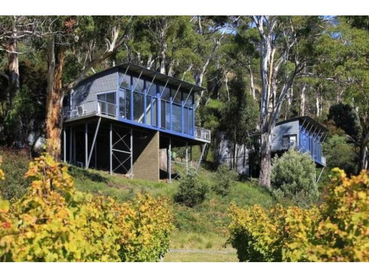 Panoramic views from your stunning &#x27;Treehouse&#x27; Apartment, Tasmania - imaginea 9