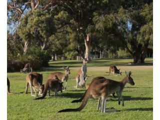 Eastern Hill Creswick Hotel, Creswick - 3