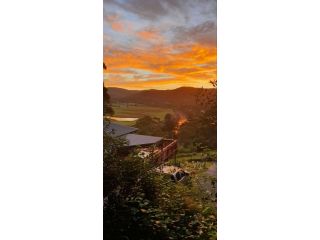 Paterson Skywalk and Bush Bedroom Guest house, New South Wales - 5