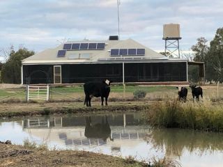 Pattison Pastoral Farm Stay Guest house, Western Australia