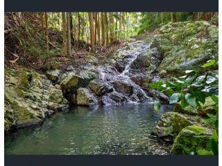 Pidgeonberry Retreat - Peaceful Escape 21 Acres with Cascading Creek Villa, New South Wales - 2