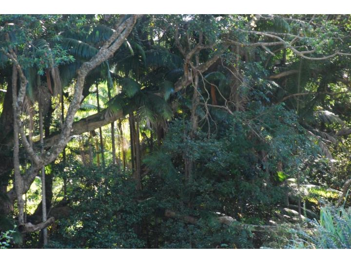 Pengelly's Guest House Guest house, Buderim - imaginea 19
