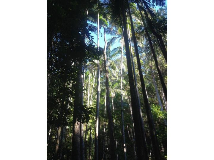 Pengelly's Guest House Guest house, Buderim - imaginea 20