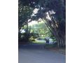 Pengelly's Guest House Guest house, Buderim - thumb 15
