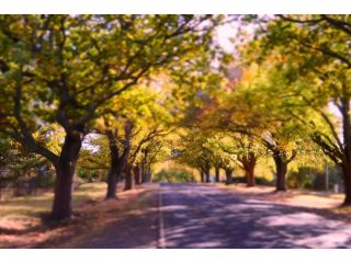 The Library Apartment, Glenlyon - 1