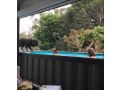 Pet friendly home with pool and boat parking. Guest house, Iluka - thumb 11