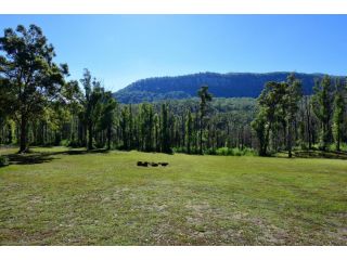 Pindari - Tiny Home Kangaroo Valley Guest house, New South Wales - 5