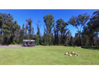 Pindari - Tiny Home Kangaroo Valley Guest house, New South Wales - 3