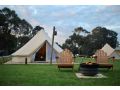 Pine Country Caravan Park Guest house, Mount Gambier - thumb 3