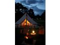 Pine Country Caravan Park Guest house, Mount Gambier - thumb 20