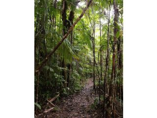 Point Stuart Wilderness Lodge Hotel, Northern Territory - 3