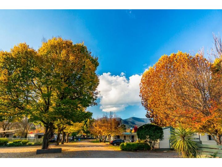 Discovery Parks - Mount Buffalo Accomodation, Porepunkah - imaginea 3