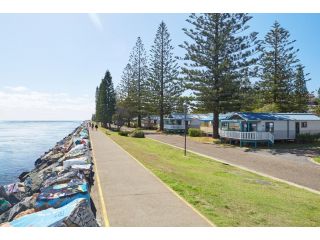 NRMA Port Macquarie Breakwall Holiday Park Accomodation, Port Macquarie - 2