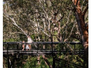 Port Stephens Koala Sanctuary Accomodation, One Mile - 3