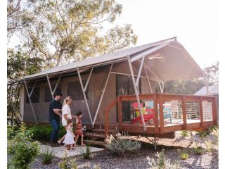 Port Stephens Koala Sanctuary Accomodation, One Mile - 1