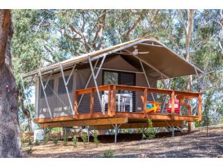 Port Stephens Koala Sanctuary Accomodation, One Mile - 2