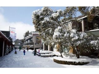 Powder 3A Chalet, Thredbo - 5