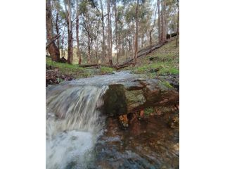 Preston Valley Retreat Farm stay, Western Australia - 4