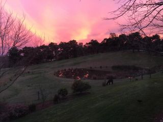 Raynella Alpaca Farmstay Farm stay, Victoria - 3