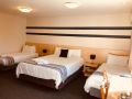 Red Cedar Motel Hotel, Muswellbrook - thumb 17