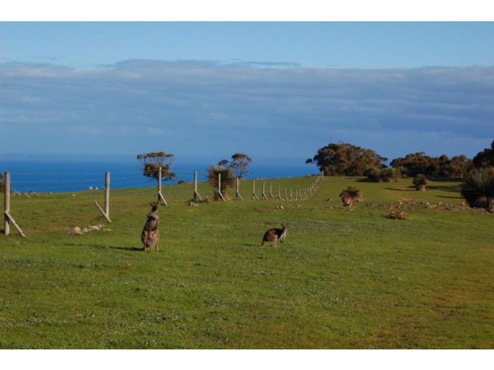 Ridgetop Retreats - Deep Creek Conservation Park Bed and breakfast, South Australia - imaginea 5