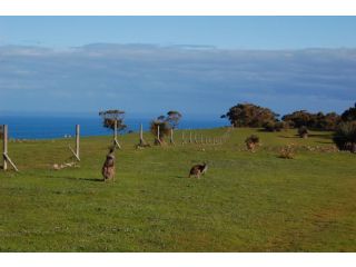 Ridgetop Retreats - Deep Creek Conservation Park Bed and breakfast, South Australia - 5