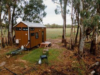 River Red Gum Guest house, Shepparton - 1