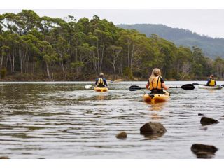 River Run Lodge Hotel, Tasmania - 5