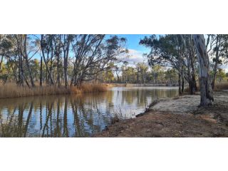 Riversands Rest Accommodation Paringa - Coobah Cottage Guest house, Renmark - 1