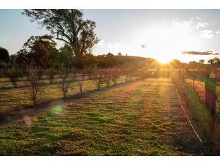 Riverview Farm & Guesthouse Guest house, New South Wales - 3