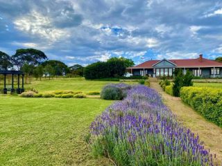 Romance In The Vines by Wine Coast Holiday Rentals Guest house, Maslin Beach - 5