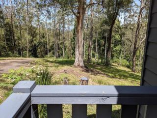 Romantic Cabin Escapes Barrington Tops - Lorikeet Chalet, Bandon Grove - 4