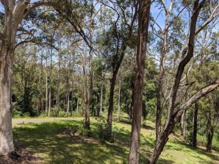 Romantic Cabin Escapes Barrington Tops - Lorikeet Chalet, Bandon Grove - 1