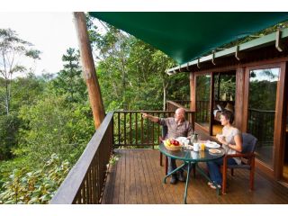 Rose Gums Wilderness Retreat Hotel, Queensland - 3