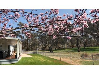 Rosewood Cottage Bed and breakfast, New South Wales - 1