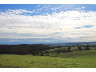 Rosewood Farmstay Campsite, New South Wales - 5