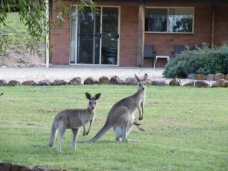 Rubyvale Motel & Holiday Units Hotel, Queensland - 4