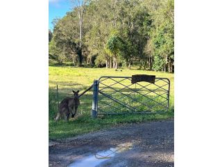 Rural Self Contained 3 bedroom Cottage on acreage, Guest house, Queensland - 3