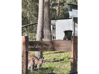 Rural Self Contained 3 bedroom Cottage on acreage, Guest house, Queensland - 4