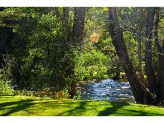 Russell Falls Holiday Cottages Apartment, Tasmania - 5