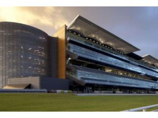 Rustic Hardwood 2 Bedroom Apartment in Randwick Apartment, Sydney - 4