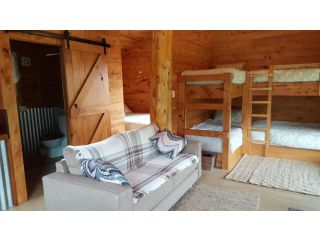 Rustic Hut Bush Retreat Bed and breakfast, Penguin - 4