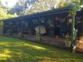 Rustic retreat Guest house, Queensland - thumb 2