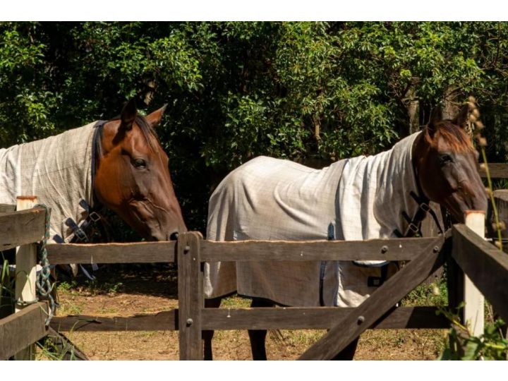 Sahara Trails Cabin 3 WiFi Air Conditioning Horse Riding and much more Guest house, Anna Bay - imaginea 17