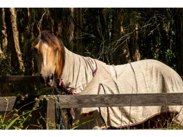 Sahara Trails Cabin 3 WiFi Air Conditioning Horse Riding and much more Guest house, Anna Bay - imaginea 18