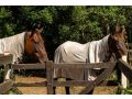Sahara Trails Cabin 3 WiFi Air Conditioning Horse Riding and much more Guest house, Anna Bay - thumb 17