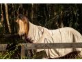 Sahara Trails Cabin 3 WiFi Air Conditioning Horse Riding and much more Guest house, Anna Bay - thumb 18