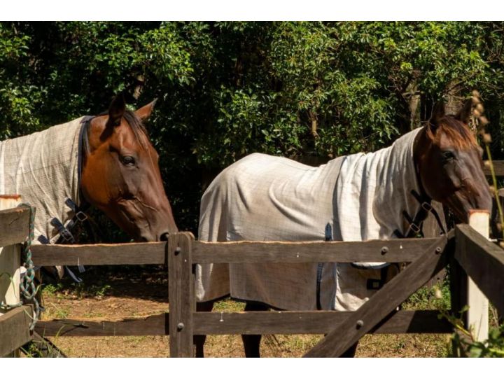 Sahara Trails Studio WiFi Air Conditioning Horse Riding and much more Guest house, Anna Bay - imaginea 11