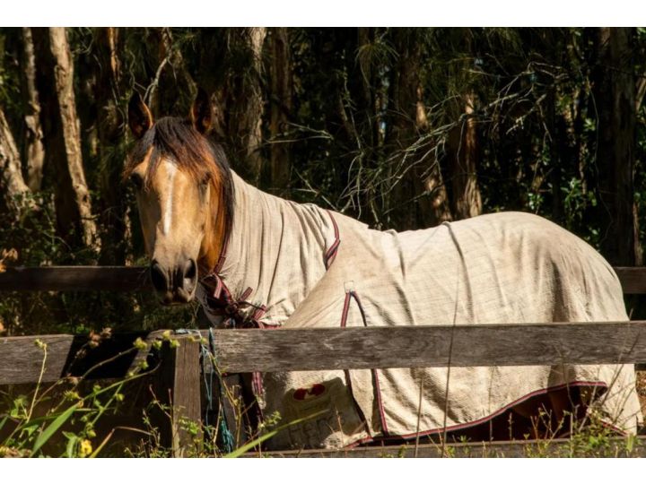 Sahara Trails Studio WiFi Air Conditioning Horse Riding and much more Guest house, Anna Bay - imaginea 12