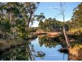 Saintys Creek Cottage Guest house, South Bruny - thumb 3